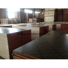 Fsc Formply Plywood Plywood Core Brown Film AA Grade